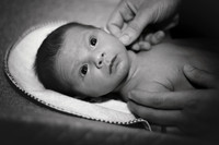 Rowan Newborn